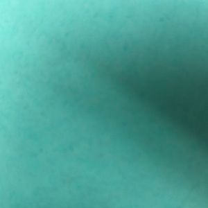 Meet your Posher, Joyce